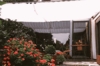 Toldo de sol 420x140 cm, unicolor marfim claro
