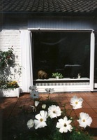 Tecido de pe�a - largura 146 cm - unicolor cinzento claro - Galeria de fotos