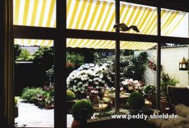 Toldo entre casa e garagem - vista desde o interior