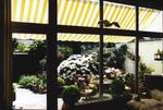 Toldo entre casa e garagem - vista desde o interior