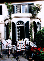 Galeria: Rankhilfe fr Kletterplanzen