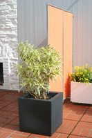 P�ra-vento 1x marco 170x70 cm - tecido de poli�ster - cor terracotta - Galeria de fotos
