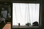 Toldo de sol 270 x 140 cm - unicolor branco - Galeria de fotos